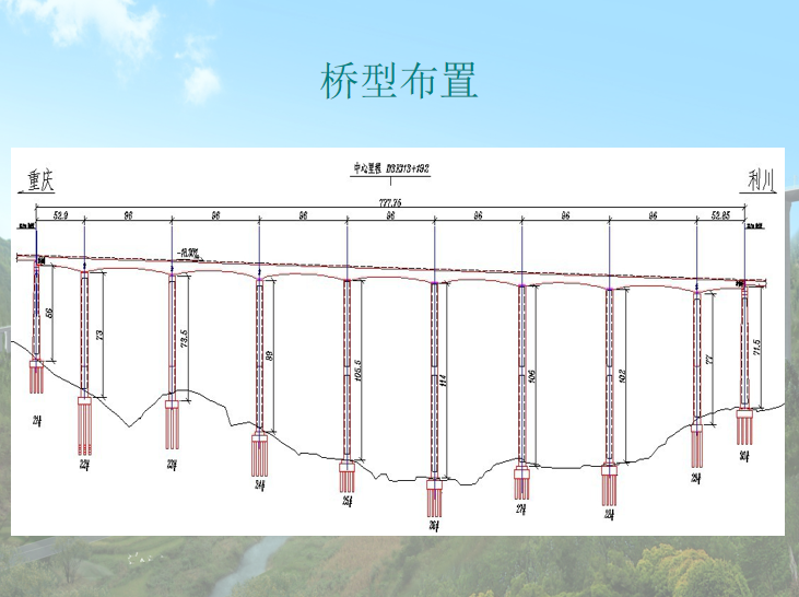 铁路双线特大桥主桥墩身外观质量控制QC-桥梁桥型布置 铁路双线特大桥主桥墩身外观质量控制QC-桥梁桥型布置
